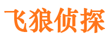 宝坻寻人公司